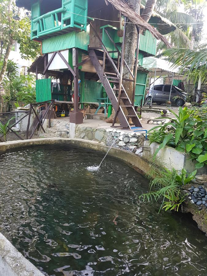 自然绿色森林度假村 巴莱尔 客房 照片